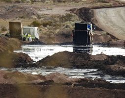 Greenpeace denuncia: “Vaca Muerta no funciona como debería”