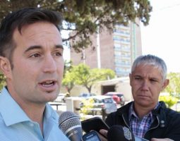 Lanzaron una aplicación para denunciar maltrato animal