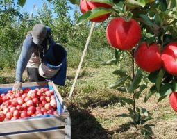 Productores de la región organizan tres jornadas de protesta nacional