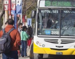Nuevo aumento del boleto en Neuquén: Entre el 27 y el 29 de noviembre comenzará a aplicarse