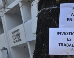 Recorte de ingresantes en el CONICET: “Hay gente que posterga su vuelta desde el exterior porque la situación está difícil”