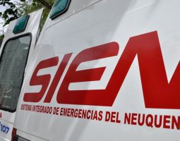 El 30% de las demandas al SIEN son para atención psicológica