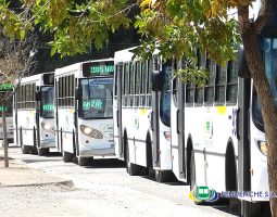 Pehuenche ratificó el aumento en los boletos de Cipolletti y Neuquén