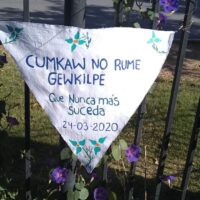 “Este gobierno es negacionista y si pudiera hacer una nueva campaña del desierto, lo haría”