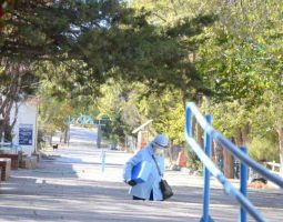 Representantes de las Universidades se reunirán en un Comité de Emergencia Nacional