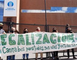 Presentan una ordenanza para la regularización y cultivo de cannabis en la ciudad