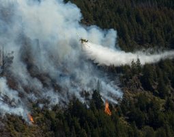 Incendios en El Bolsón: Pese a las advertencias del municipio los vecinos colaboran con los brigadistas