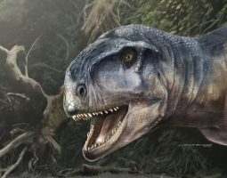 Descubren una nueva especie de dinosaurio en el norte de Neuquén