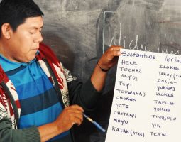 Diccionario Wichi  Castellano