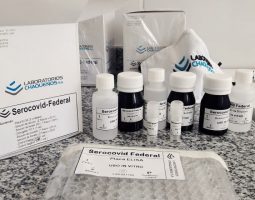 El INTA desarrolló un kit que detecta anticuerpos contra el coronavirus en animales