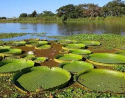 Día Mundial de los Humedales