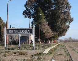 Proyectan extender el Tren del Valle hasta Senillosa
