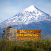 Denuncian despidos injustificados en el Parque Nacional Lanín