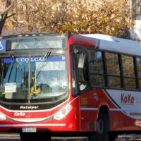 Cipolletti entregó tarjetas de colectivo con subsidio para estudiantes universitarios