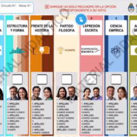 “La boleta única de papel personaliza más el voto y su principal efecto fue desdoblar elecciones”