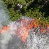 Incendios en la Patagonia. Abogados denuncian falta de prevención y de planificación integral desde el Estado